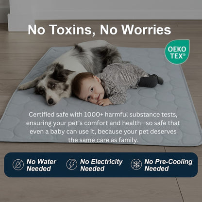 Dog Cooling Mat Washable Dogs Cats Pet Non-Toxic Cooling Pads Summer Sleeping Kennel Mats，Pet Self Cool Ice Blanket for Indoor & Outdoor Dog Beach Essentials Light Gray Large