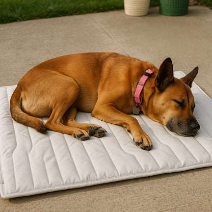 Dog Cooling Mat Washable Dogs Cats Pet Non-Toxic Cooling Pads Summer Sleeping Kennel Mats，Pet Self Cool Ice Blanket for Indoor & Outdoor Dog Beach Essentials Light Gray Large