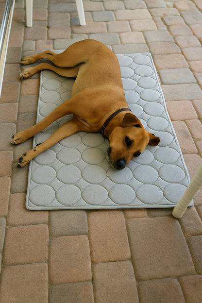 Dog Cooling Mat Washable Dogs Cats Pet Non-Toxic Cooling Pads Summer Sleeping Kennel Mats，Pet Self Cool Ice Blanket for Indoor & Outdoor Dog Beach Essentials Light Gray Large