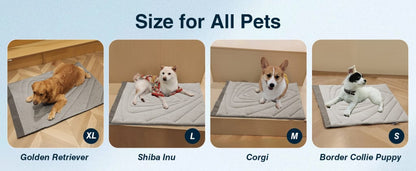 Dog Cooling Mat Washable Dogs Cats Pet Non-Toxic Cooling Pads Summer Sleeping Kennel Mats，Pet Self Cool Ice Blanket for Indoor & Outdoor Dog Beach Essentials Light Gray Large